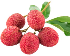 lychee
